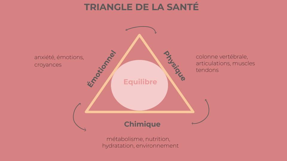 schéma sur les stress physiques chimiques et emotionnels sur la santé