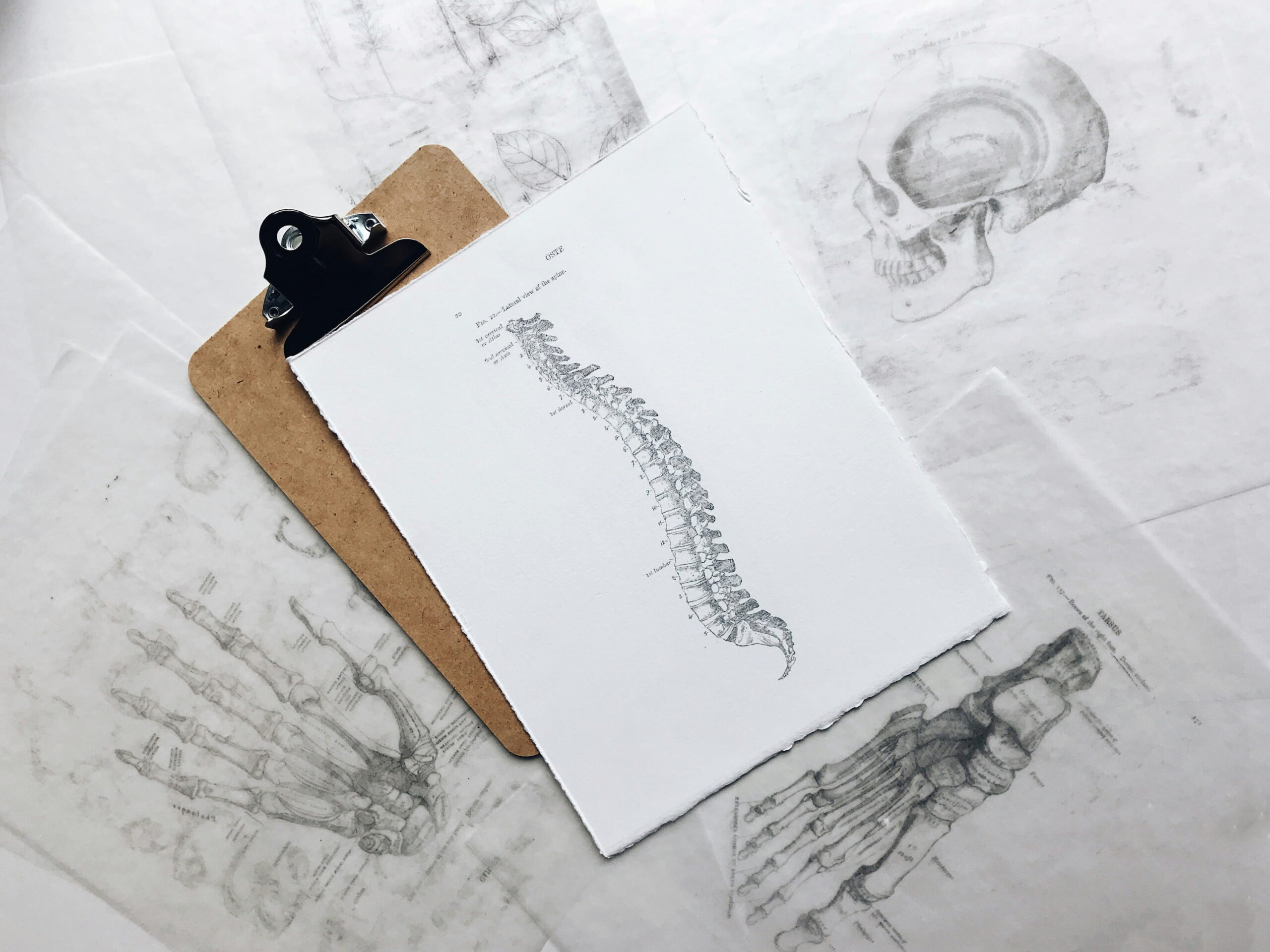 chiropracteur Angers - traitement et soins du dos